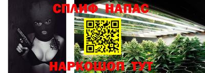 mdpv Ярославль